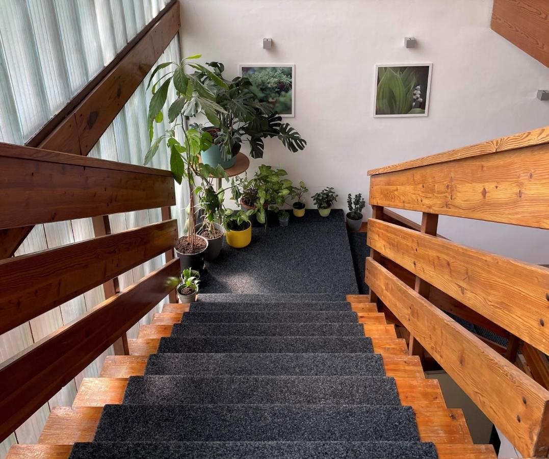 Penzion Kozi Horka U Brnenske Prehrady Brünn Exterior foto