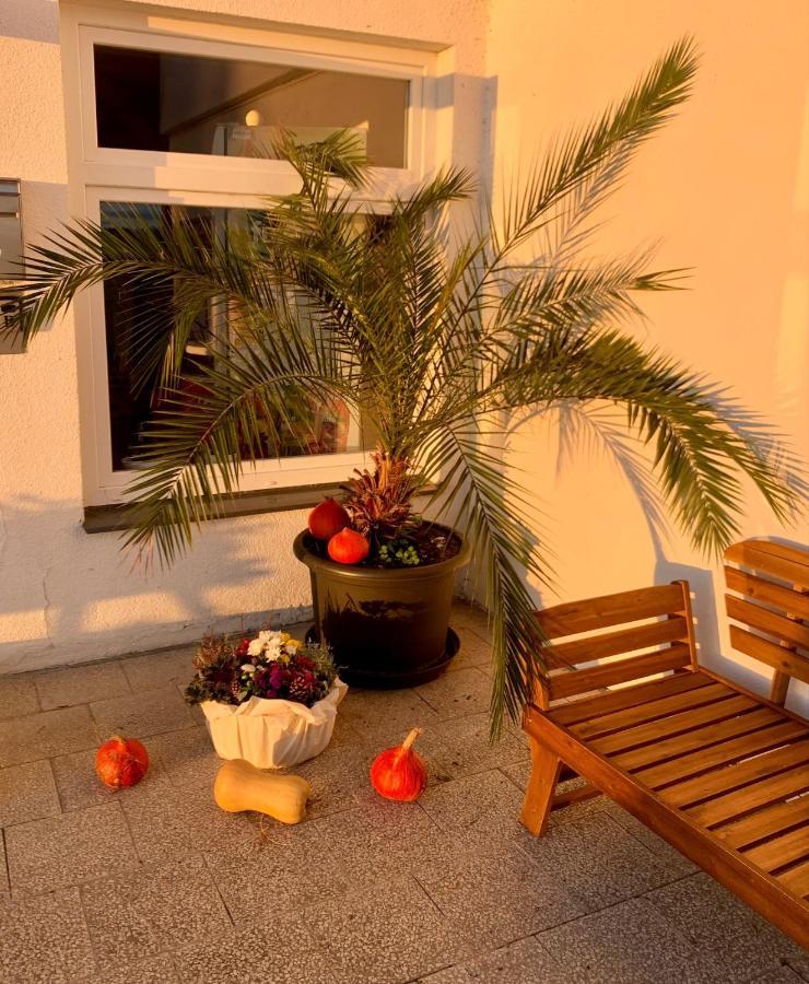 Penzion Kozi Horka U Brnenske Prehrady Brünn Exterior foto