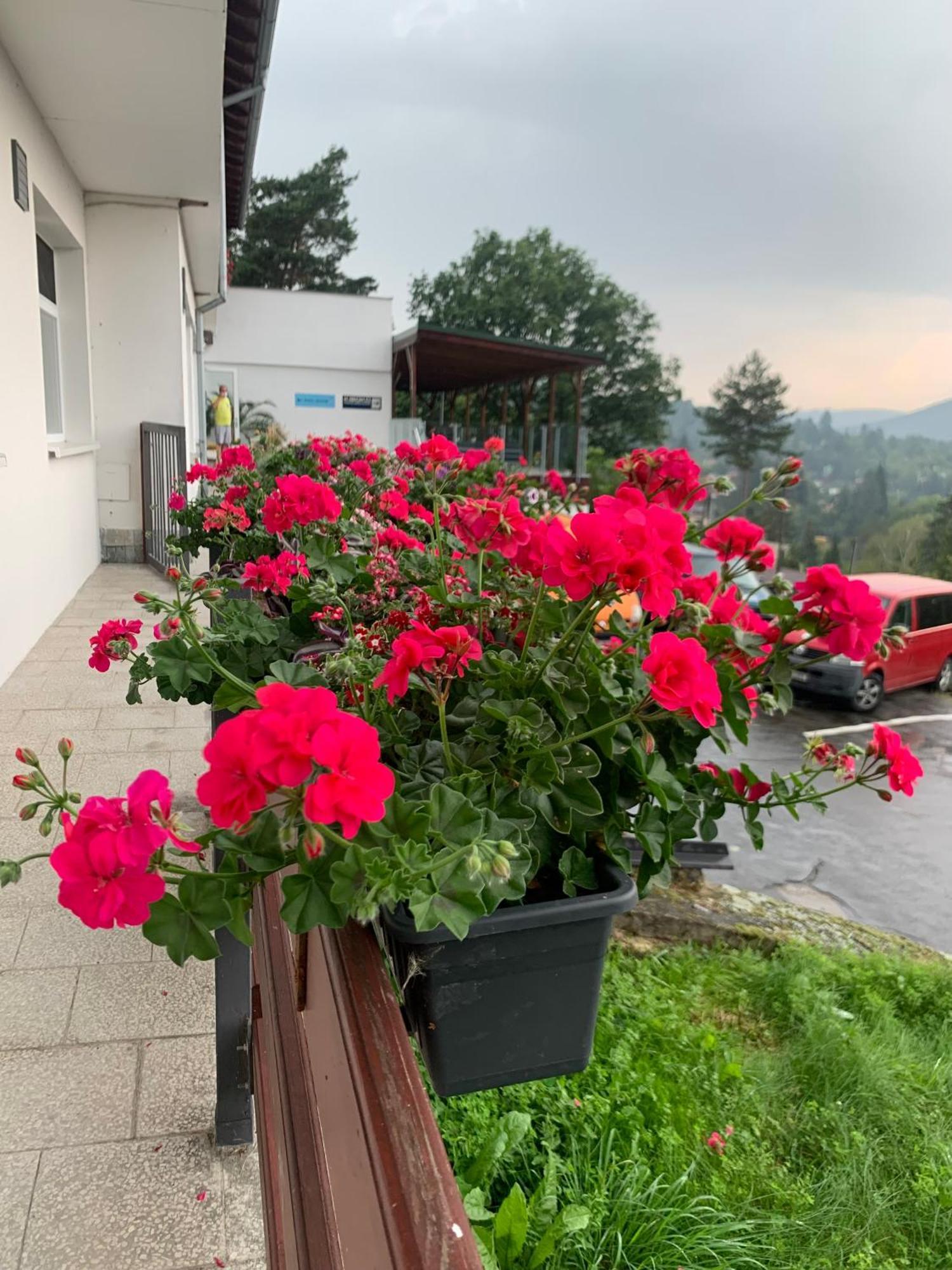 Penzion Kozi Horka U Brnenske Prehrady Brünn Exterior foto